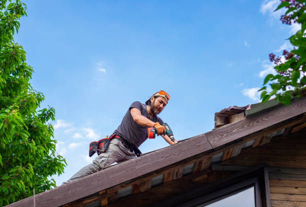 Best Skylight Installation and Repair  in El Rancho, NM